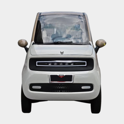 4 Tekerlekli Elektrikli Araç A2